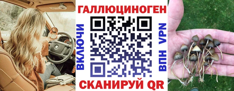 купить   kraken рабочий сайт  Псилоцибиновые грибы прущие грибы  Нефтегорск 